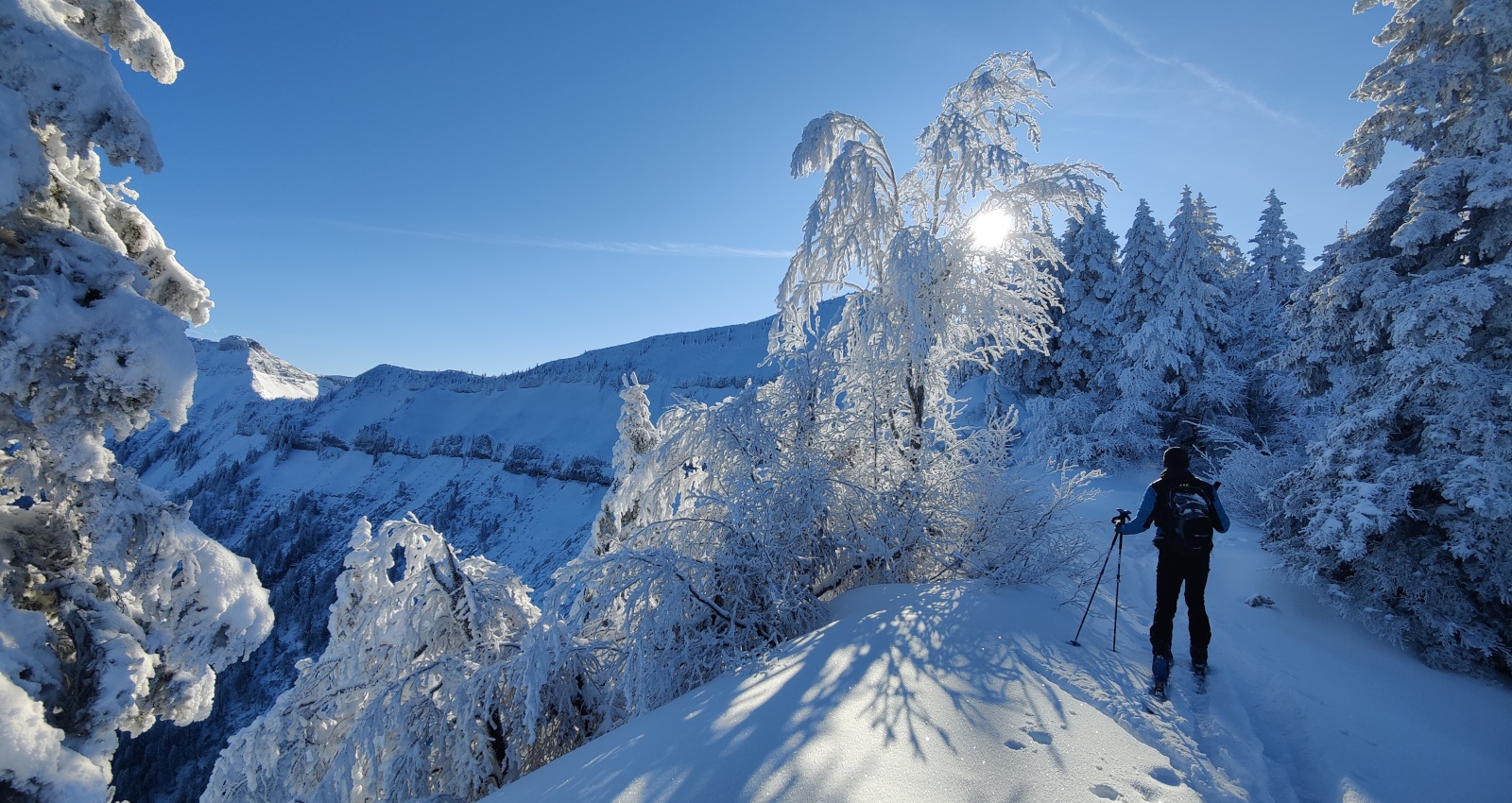 Fotograf: Dario Fritz